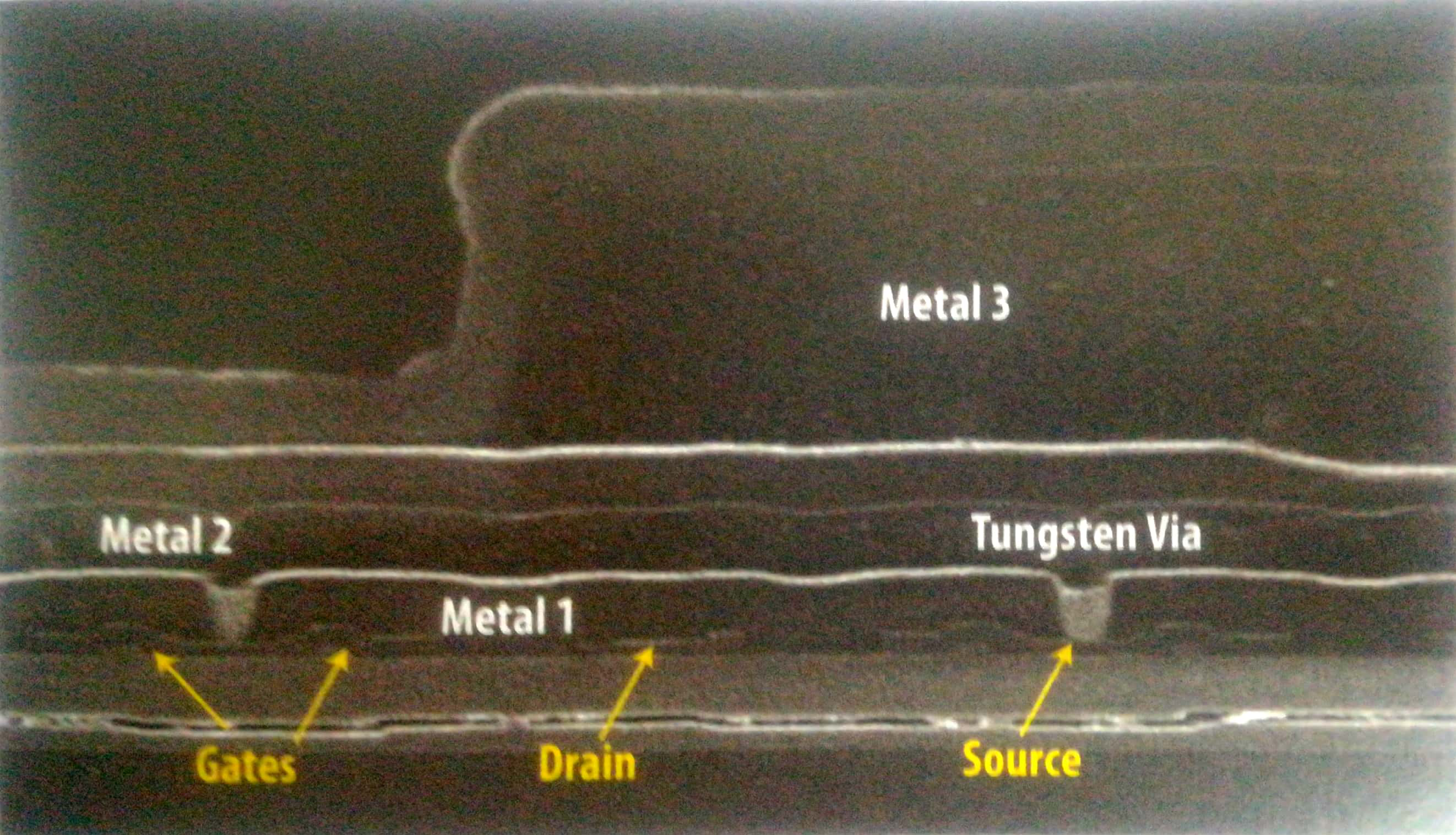 氮化镓场效应晶体管的扫描电子显微镜图像