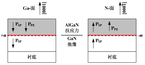 受到拉应力时沿Ga面和N面生长的AlGaN/GaN异质结结构的极化矢量方向