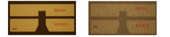 （a）退火前欧姆接触形貌 （b）退火后欧姆接触形貌