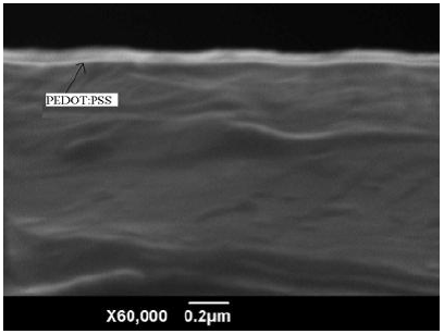 3000r/min、旋转40s的PEDOT:PSS薄膜剖面图