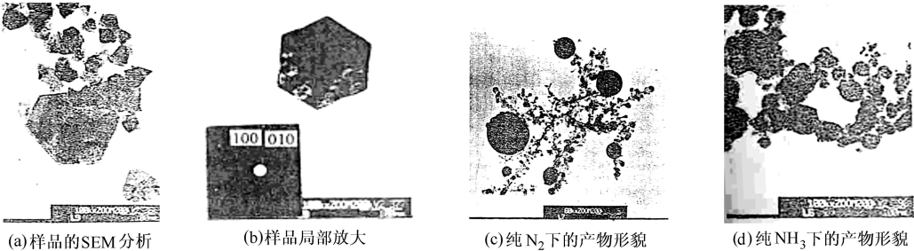 样品扫描分析示意图