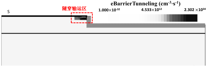 栅开启后源极附近SFG-FET的隧穿概率分布