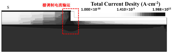 栅开启后源极附近SFG-FET的电流密度分布