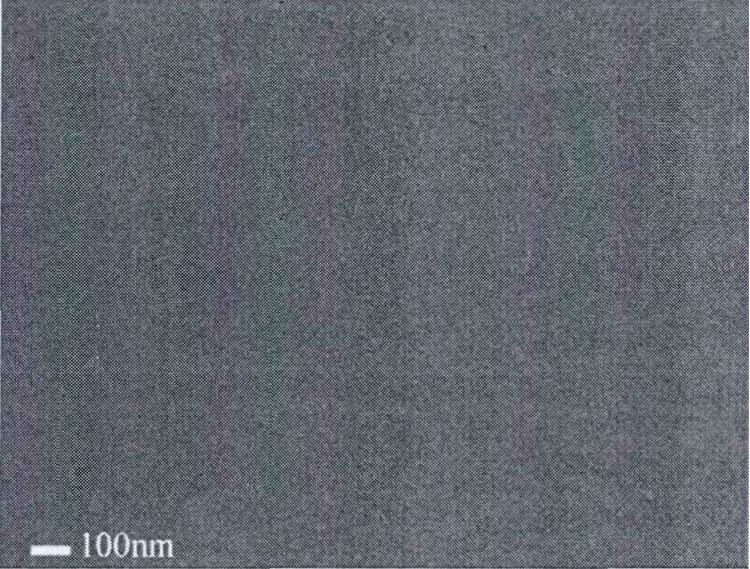 PEALD沉积100nm-AIN/Si薄膜的SEM图像
