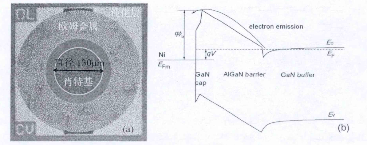 (a) AIGan/GaN肖特基二极管俯视显微图片及(b)正向偏置时能带结构示意图
