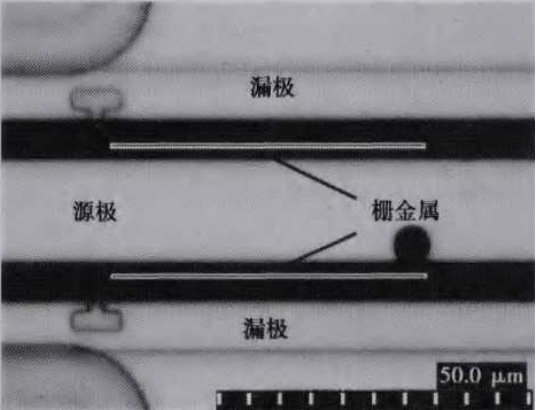 图4 被测器件表面显微图像
