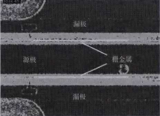 图5 被测器件热反射成像图片